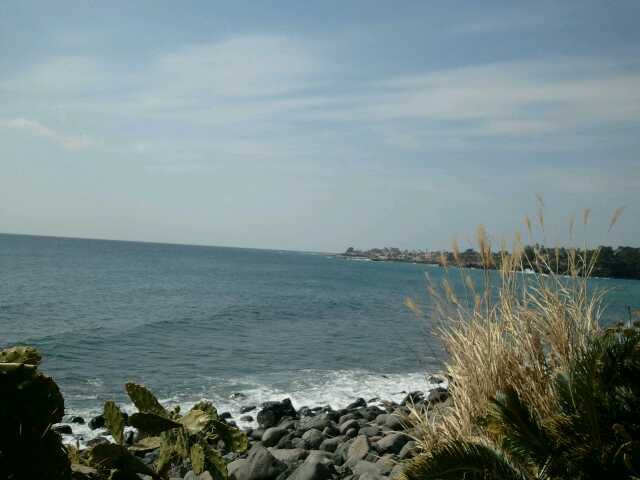 2011-02-21_11[1].48.22.jpg